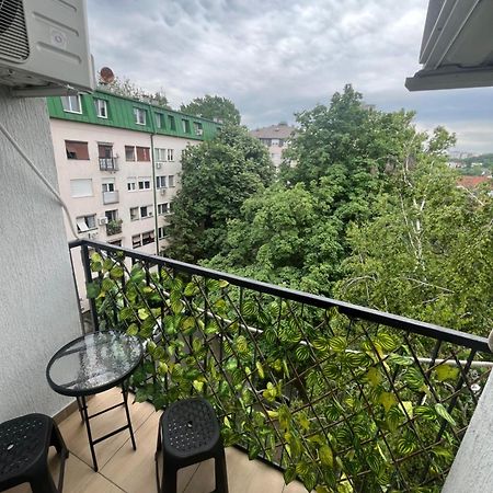 Pavlovic Apartman Belgrad Exterior foto